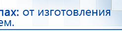 СКЭНАР-1-НТ (исполнение 02.1) Скэнар Про Плюс купить в Комсомольске-на-амуре, Аппараты Скэнар купить в Комсомольске-на-амуре, Скэнар официальный сайт - denasvertebra.ru